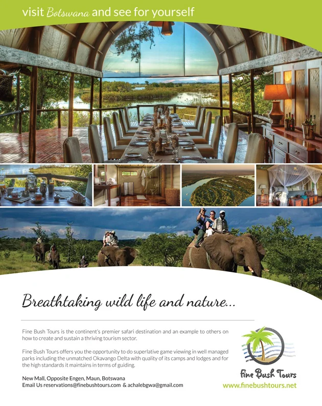 Fine Bush Tours — view organisation