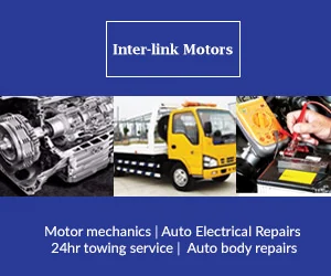 Interlink Motors (pty) Ltd — view organisation
