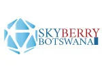 Skyberry Botswana (Pty) Ltd logo