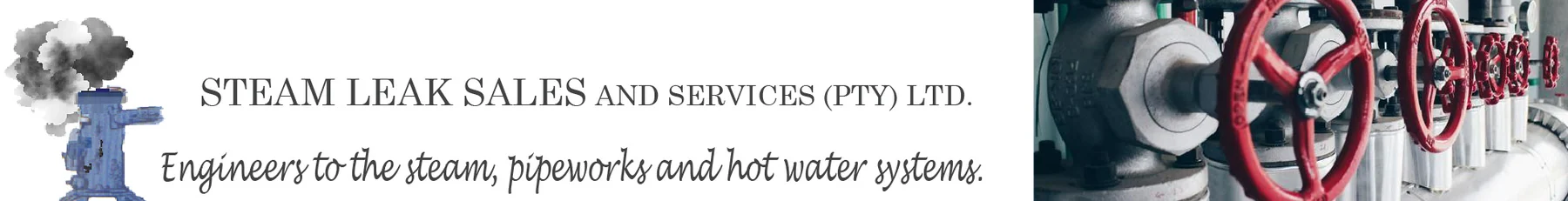 STEAM LEAKS SALES And SERVICES (PTY) LTD — view organisation