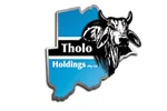 Tholo Holdings (Pty) Ltd logo