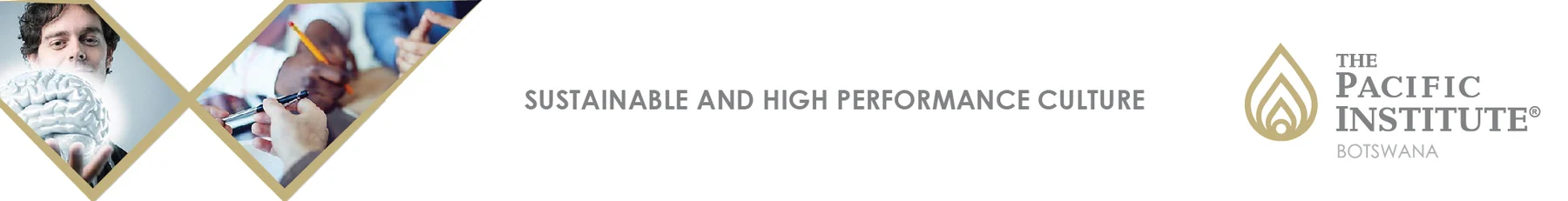 The Pacific Institute Botswana banner