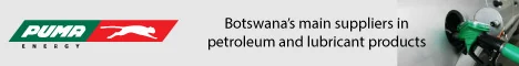 Puma Energy Botswana — view organisation