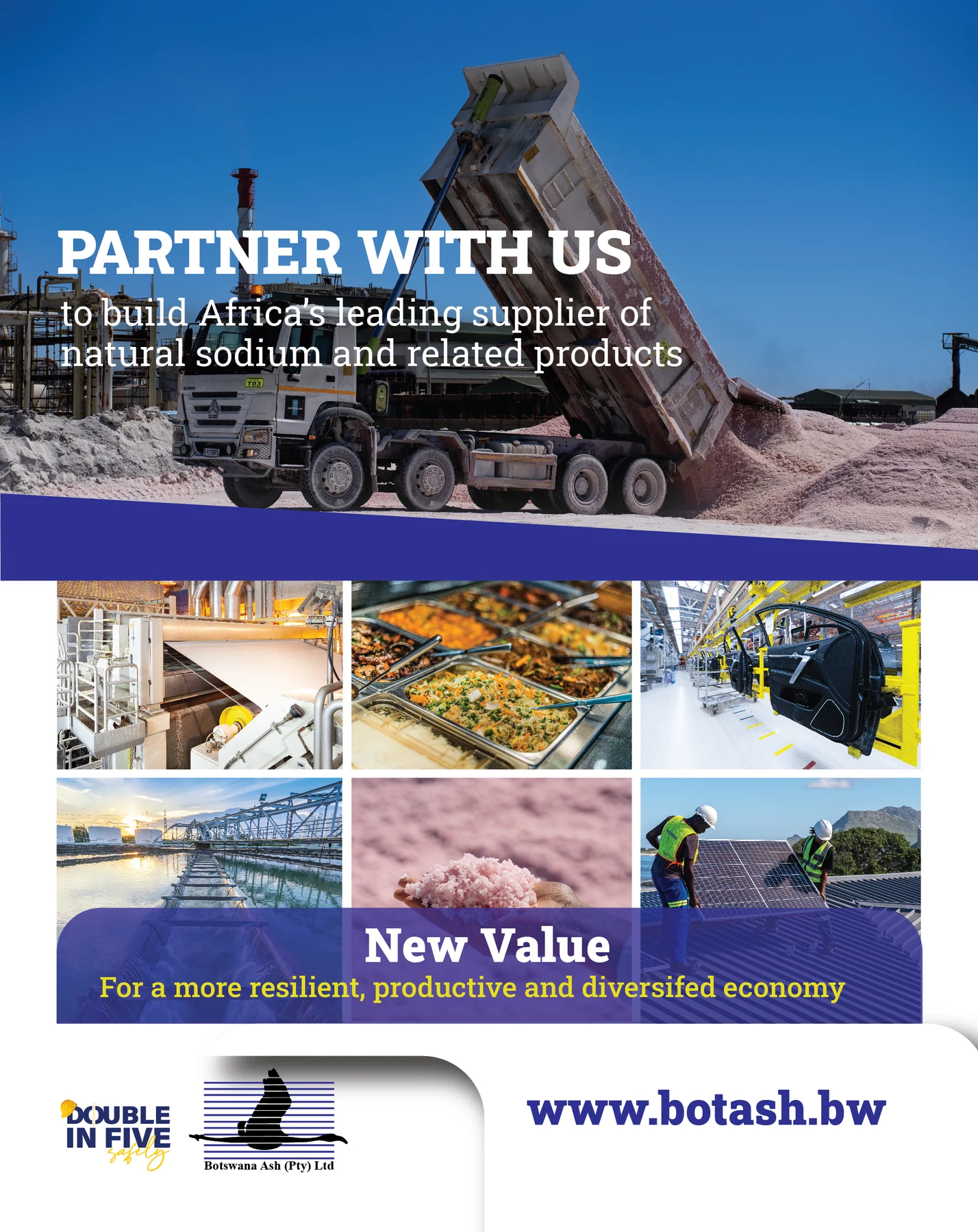 Botswana Ash (Pty) Ltd (Botash) — view organisation