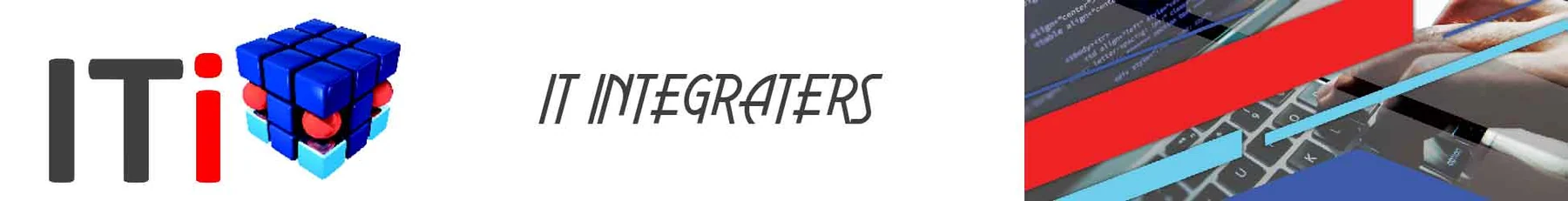 IT Integraters (Pty) Ltd — view organisation