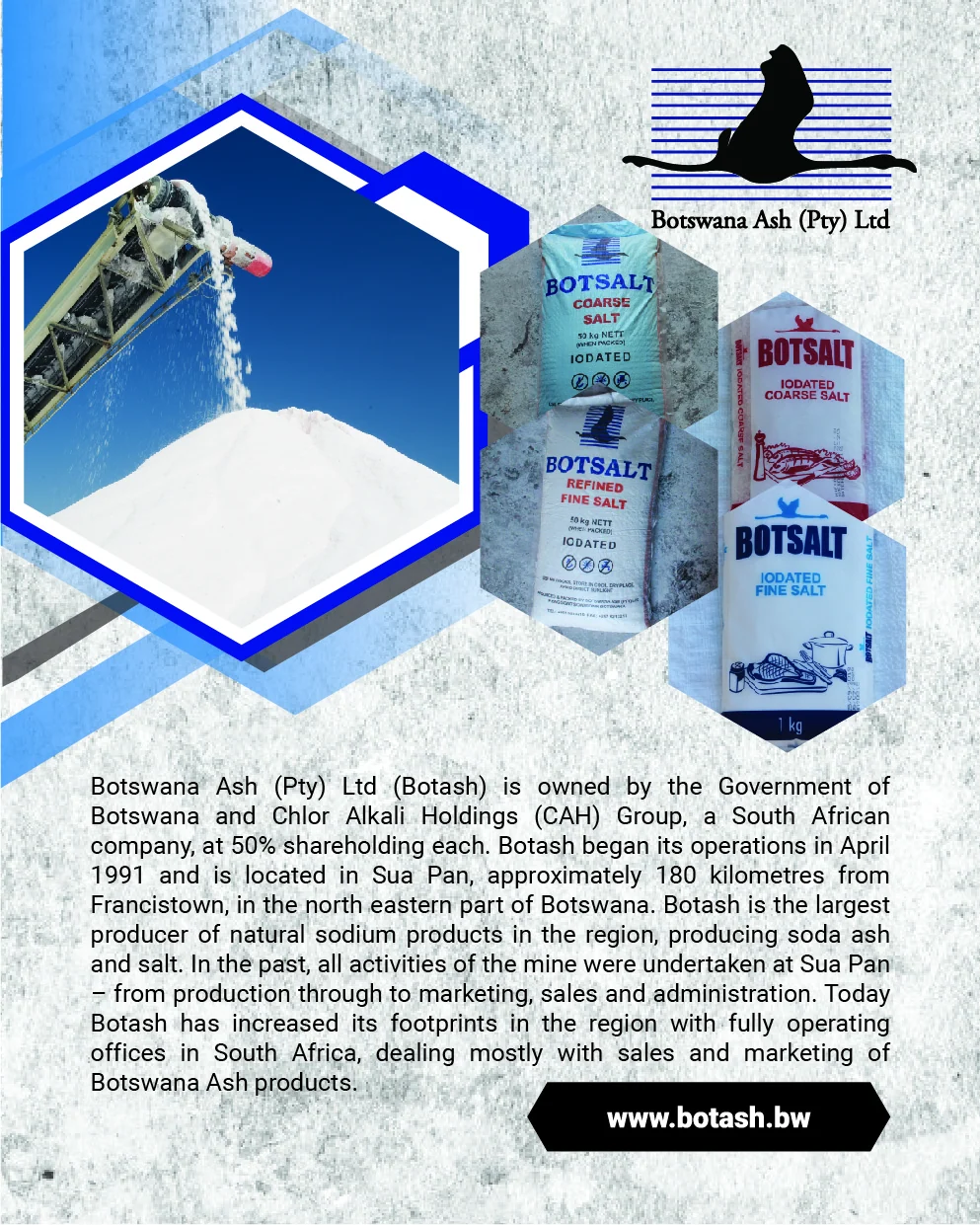 Botswana Ash (Pty) Ltd artwork