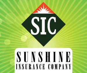 Sunshine Insurance Company (Pty) Ltd artwork