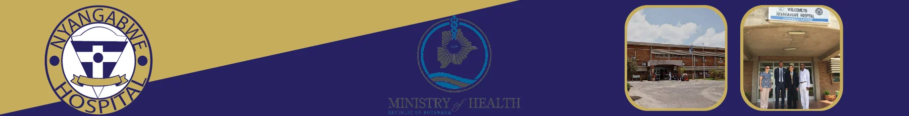 Nyangabwe Hospital — view organisation