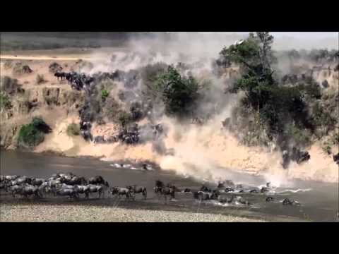 No.1 Lady Tours and Safaris video preview